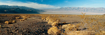 North American desert