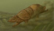Hydrtatu
