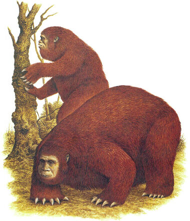 Slothmen pair