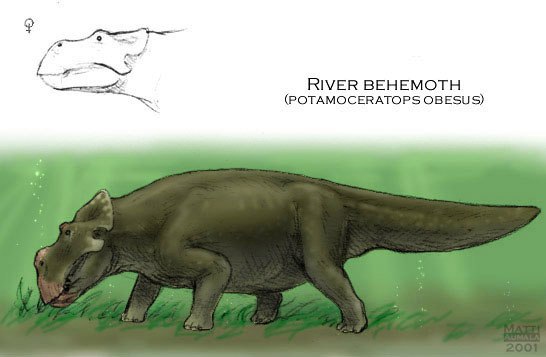 Hippoceratops
