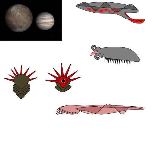 File:Ganymedeslife.jpg