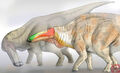Thumbnail for version as of 03:02, August 21, 2010