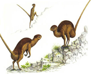 Hanuhan