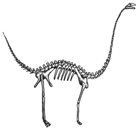 Swift sauropod