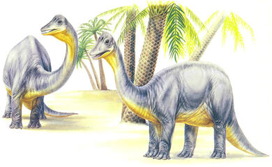 Dwarf Titanosaur