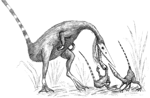 File:Pouch 2.gif