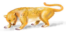 Eironca