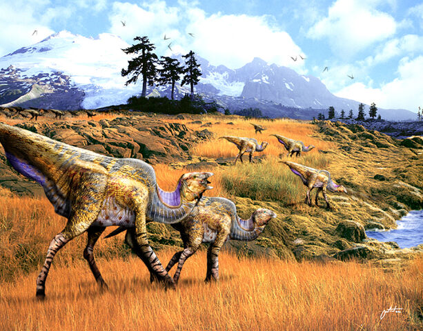 File:VSscen2.jpg