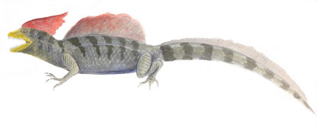 File:Cockatrice 2.jpg