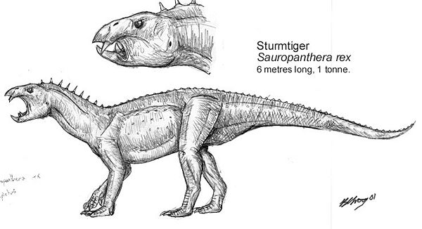 File:RHYNCHO2.JPG