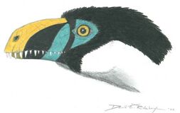 Blue-winged arbro