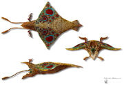 Rhombosepia imperator 1