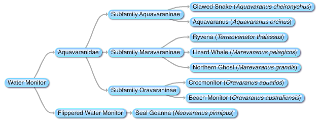 File:Aquavaranids.png