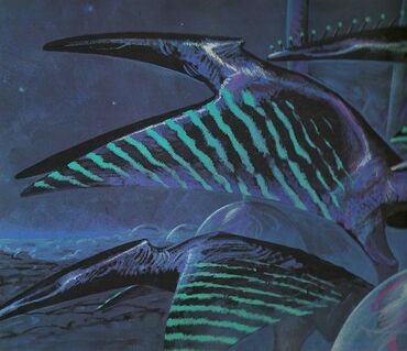 Stripewings
