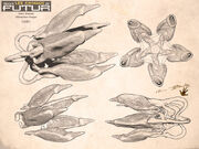 LANTERNE-ARISTOTE-01-FINAL
