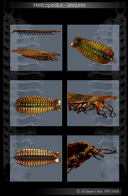 Hexapodus