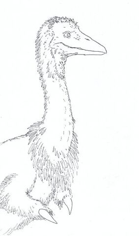 File:Drh-alvie.jpg