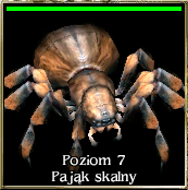 Plik:Skalnypaj.png