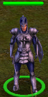 Paladin