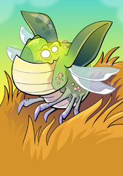Dust Mite