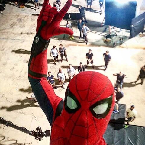 File:Random.photo.spidey.jpeg