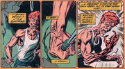 The Birth of Carnage