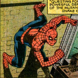 Peter Parker (Earth-804)