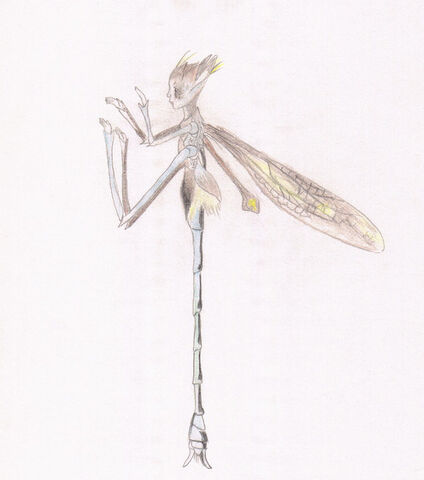 File:Dancing Pond Needle by CrimsonMoon Wolf.jpg