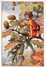 File:Acorn fairy.jpg