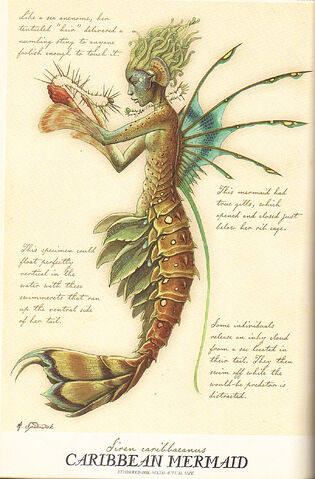 File:Tumblr mbkca7UZbi1r4ic2so1 1280-1-.jpg