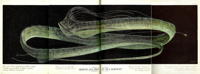 File:Atlantic Sea Serpent.jpg