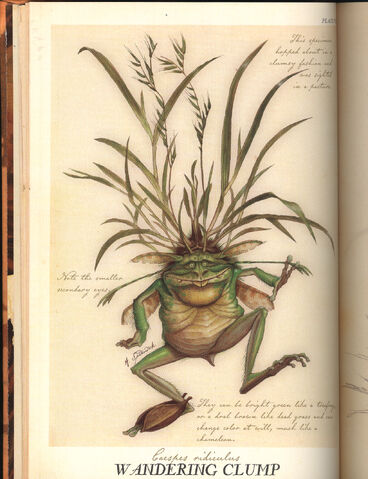 File:WanderingClump.jpg