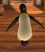 Playingp