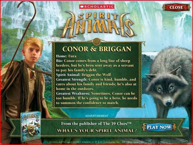 File:Conor info.jpg