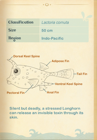 File:Longhorn Cowfish§Aquapedia2.png