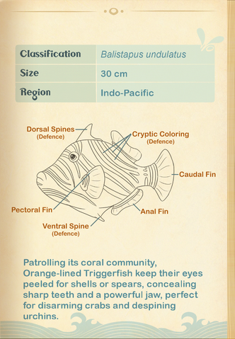 File:Orange-lined Triggerfish§Aquapedia2.png