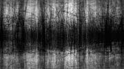 Black noise