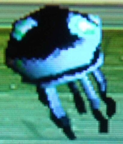 File:Black Jellyfish.jpg