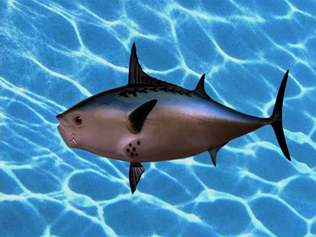 File:SpongeBob Intro 1999 (15).png