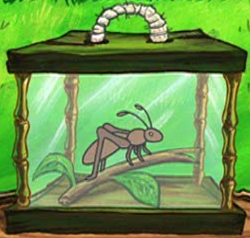 File:Sandy's Cricket.png