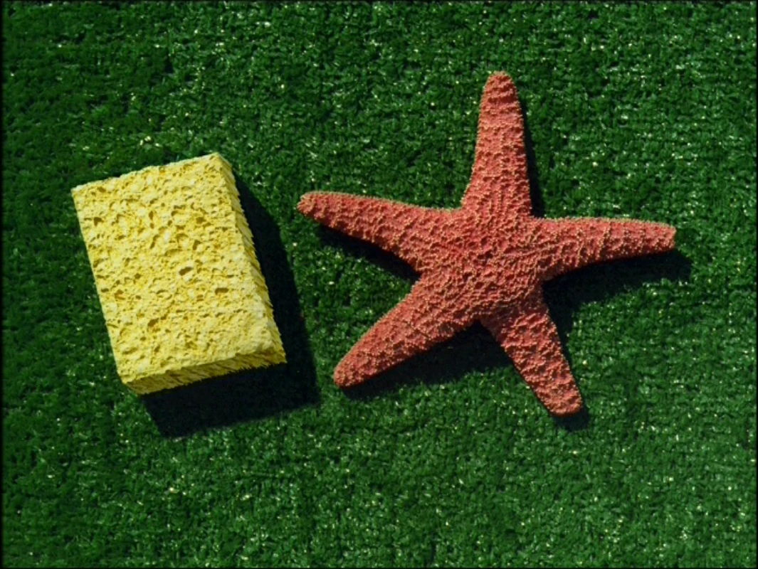 Image Tea at the Treedome 66.jpg Encyclopedia SpongeBobia FANDOM