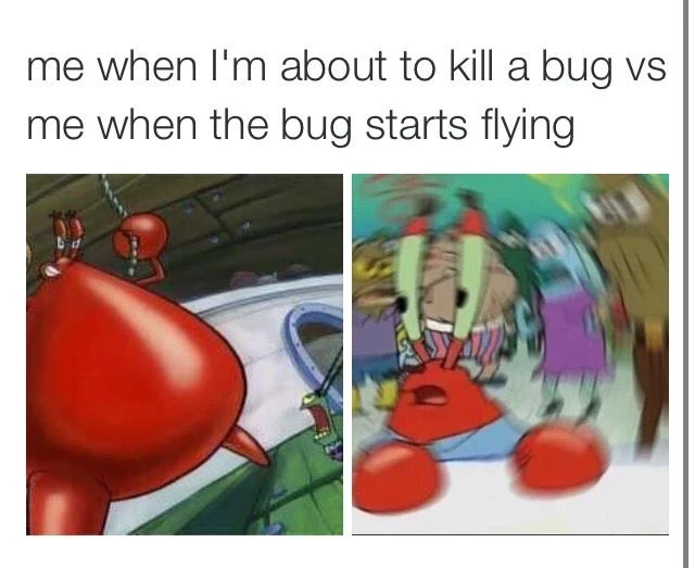 Image Confused Krabs Meme.jpeg Encyclopedia SpongeBobia FANDOM