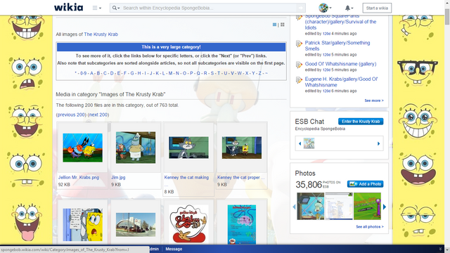 File:Large Category Template for Images.png