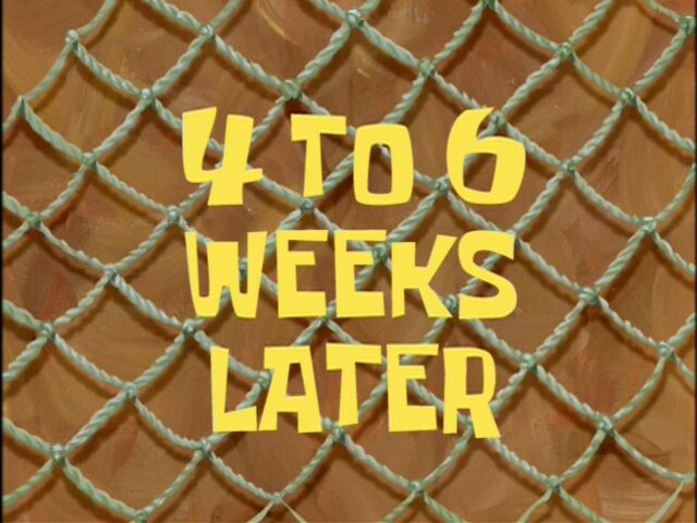 File:4to6weekslater.jpg