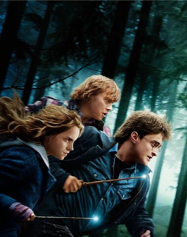 File:Harry-Potter-and-the-Deathly-Hallows-Part-I-36ebb680.jpg