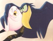 Birds05