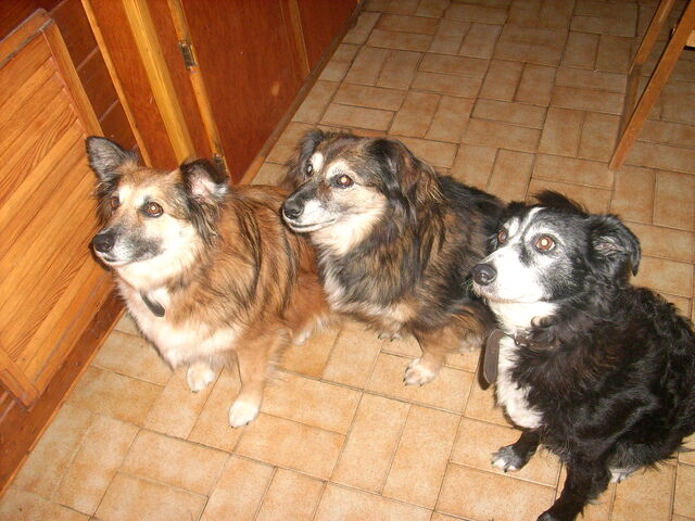 File:Family.jpg