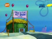 Pet-Show
