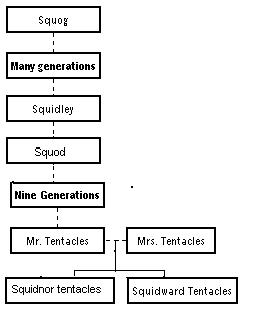 Squidfamily