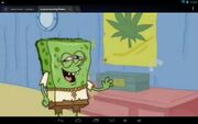 Screenshot 2014-08-21-13-53-33